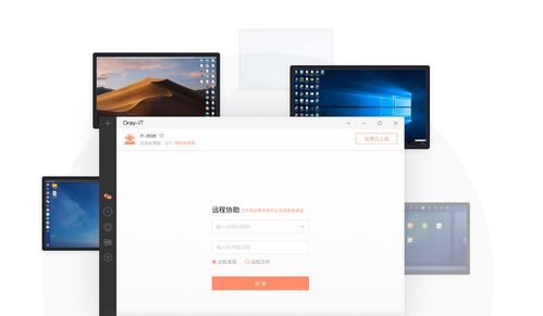 远程支持服务中海外软件的应用与软件外包服务的协同发展