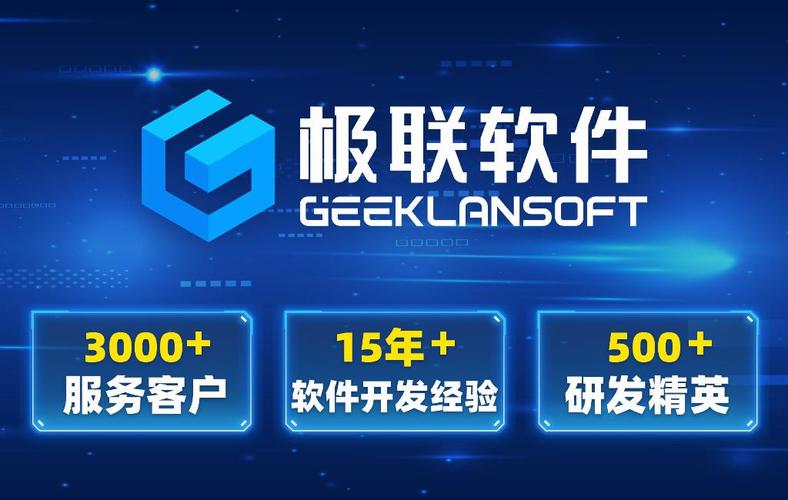 1 极联软件四,典型软件外包服务商全景分析
